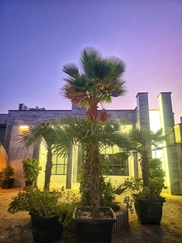  تالار اقلاقی باقرشهر 